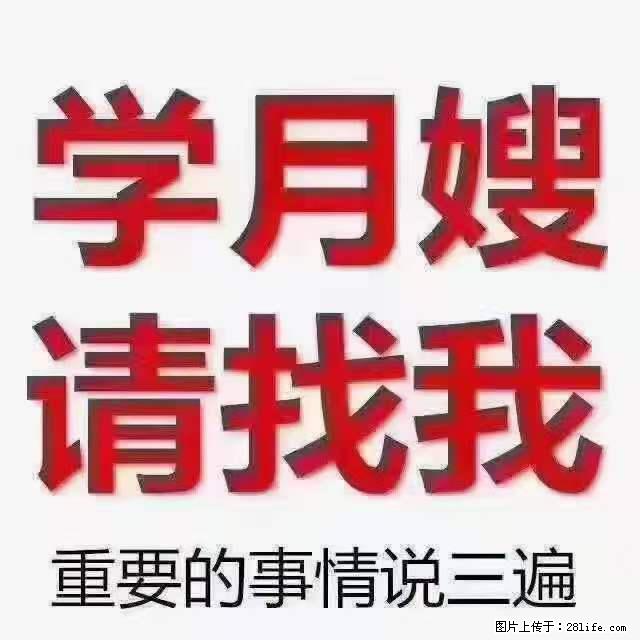 为什么要学习月嫂，育婴师？ - 其他广告 - 广告专区 - 迪庆分类信息 - 迪庆28生活网 diqing.28life.com