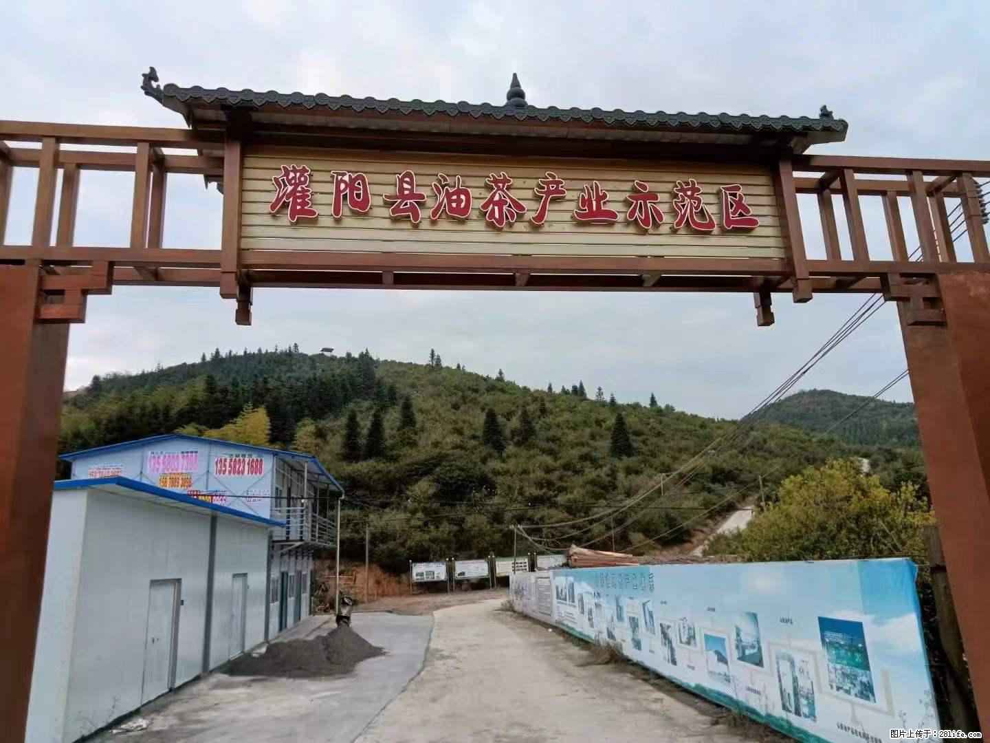 【灌阳县油茶产业示范区】一个有着充实的精神生活的人，对待身外之物自会有一种淡泊的态度 - 土特产 - 饮食特产 - 迪庆分类信息 - 迪庆28生活网 diqing.28life.com