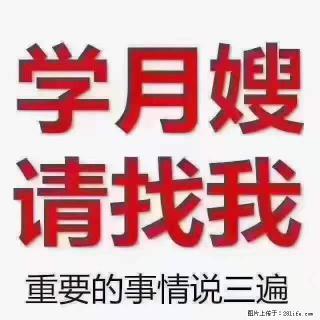 为什么要学习月嫂，育婴师？ - 迪庆28生活网 diqing.28life.com