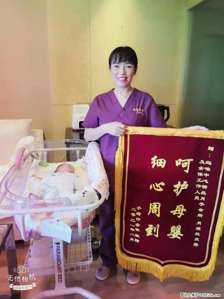 上海高端月子会所招新手月嫂，零基础带教，包吃住 - 职场交流 - 迪庆生活社区 - 迪庆28生活网 diqing.28life.com