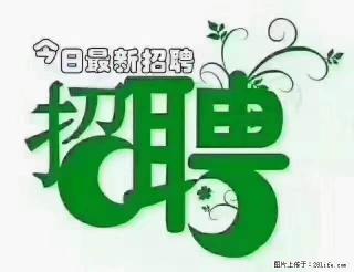 【招聘摄像师】待遇：试用期6000元/月，转正7000元/月+五险一金+餐补+节日福利+奖金 - 迪庆28生活网 diqing.28life.com