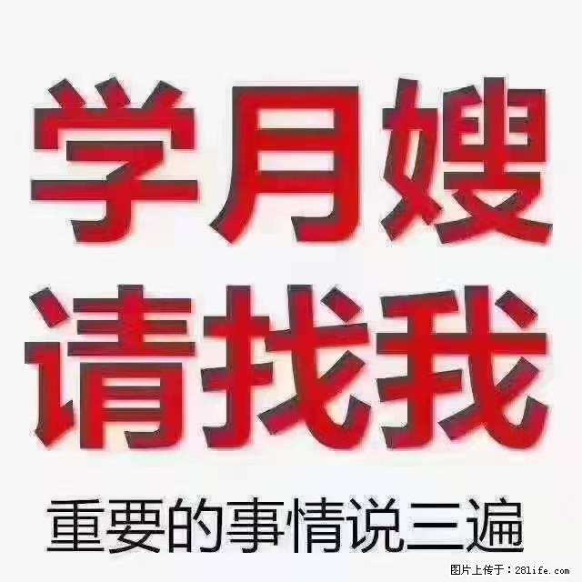 【招聘】月嫂，上海徐汇区 - 职场交流 - 迪庆生活社区 - 迪庆28生活网 diqing.28life.com