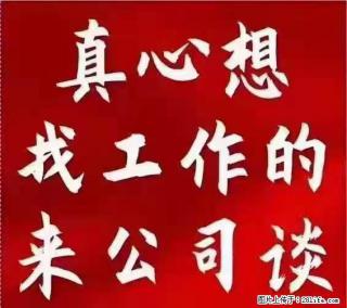 【上海】国企，医院招两名男保安，55岁以下，身高1.7米以上，无犯罪记录不良嗜好 - 迪庆28生活网 diqing.28life.com