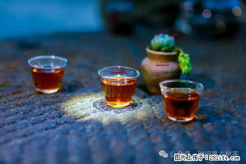 时间果百年古树2025年春红茶 - 购物交流 - 迪庆生活社区 - 迪庆28生活网 diqing.28life.com