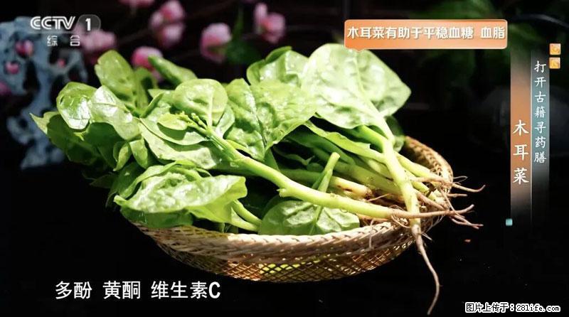 比牛奶补钙还厉害！凉血解毒、稳血糖...这菜冬天必吃，很多人却当草 - 迪庆生活资讯 - 迪庆28生活网 diqing.28life.com