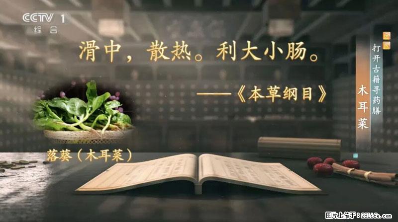 比牛奶补钙还厉害！凉血解毒、稳血糖...这菜冬天必吃，很多人却当草 - 迪庆生活资讯 - 迪庆28生活网 diqing.28life.com