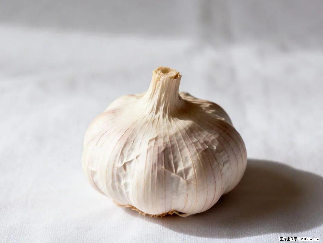 关于大蒜，除了“天然抗生素”，这4个谣言更该警惕! - 迪庆生活资讯 - 迪庆28生活网 diqing.28life.com