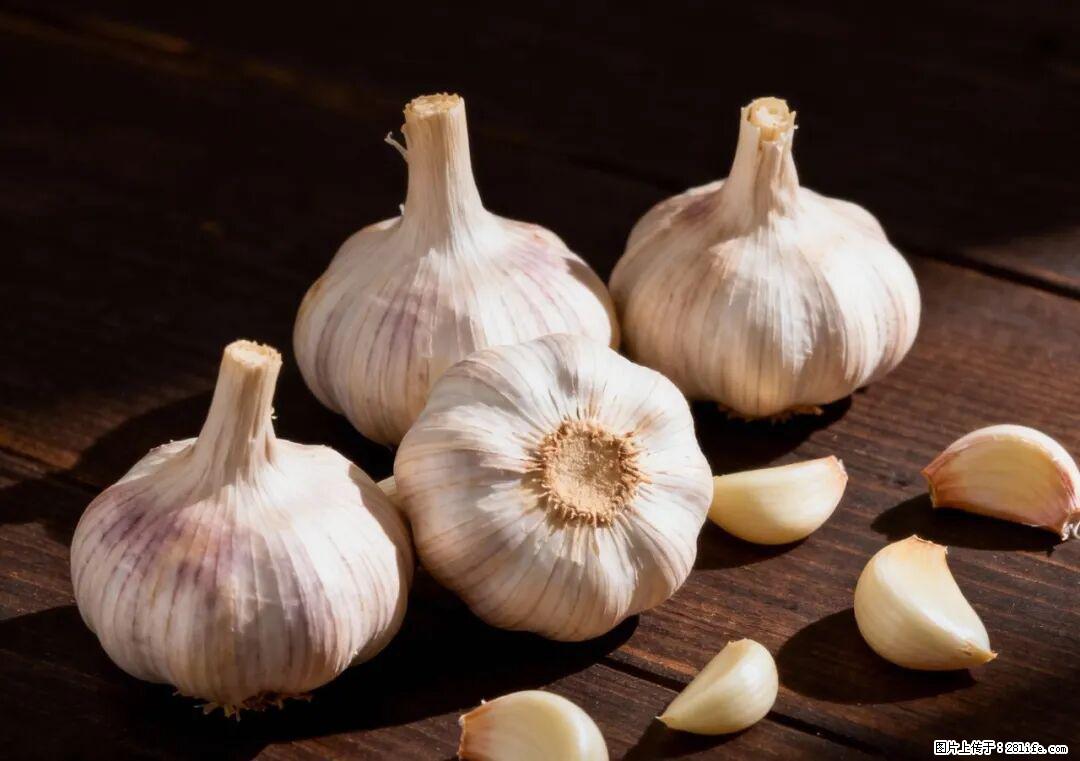 关于大蒜，除了“天然抗生素”，这4个谣言更该警惕! - 迪庆生活资讯 - 迪庆28生活网 diqing.28life.com