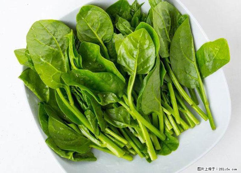 这些蔬菜是“天然钙片”，这6种被医生重点推荐 - 迪庆生活资讯 - 迪庆28生活网 diqing.28life.com